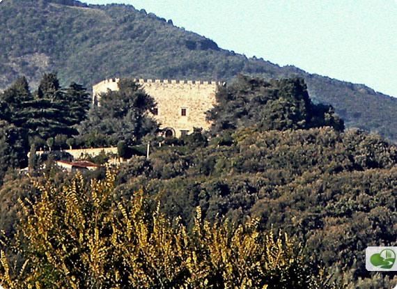 Alla Scoperta Di Montemurlo: Dalla Rocca Alla Villa Del Barone