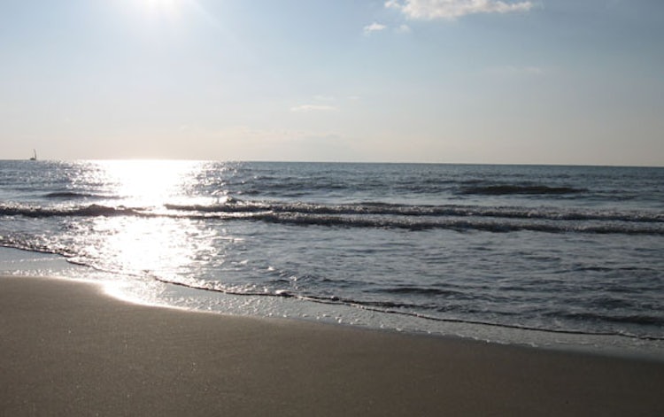 Long, wide and sandy beaches at Versilia