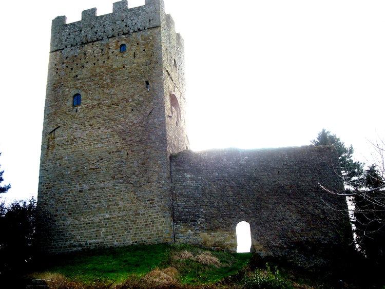 More castles in Casentino