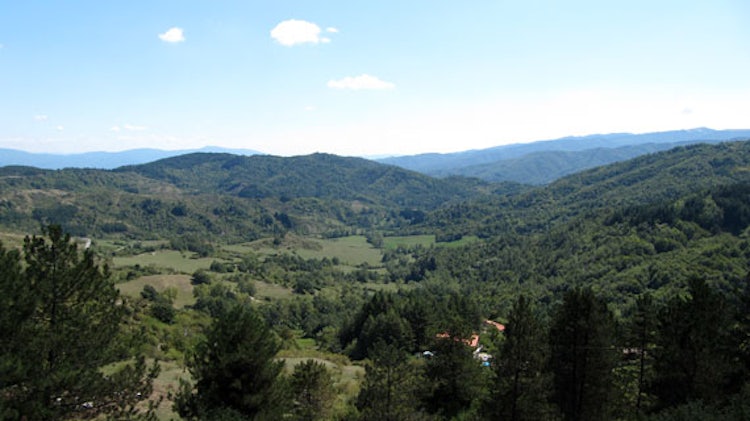 The National Park in Casentino 