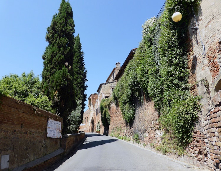 Road to Certaldo in Tuscany