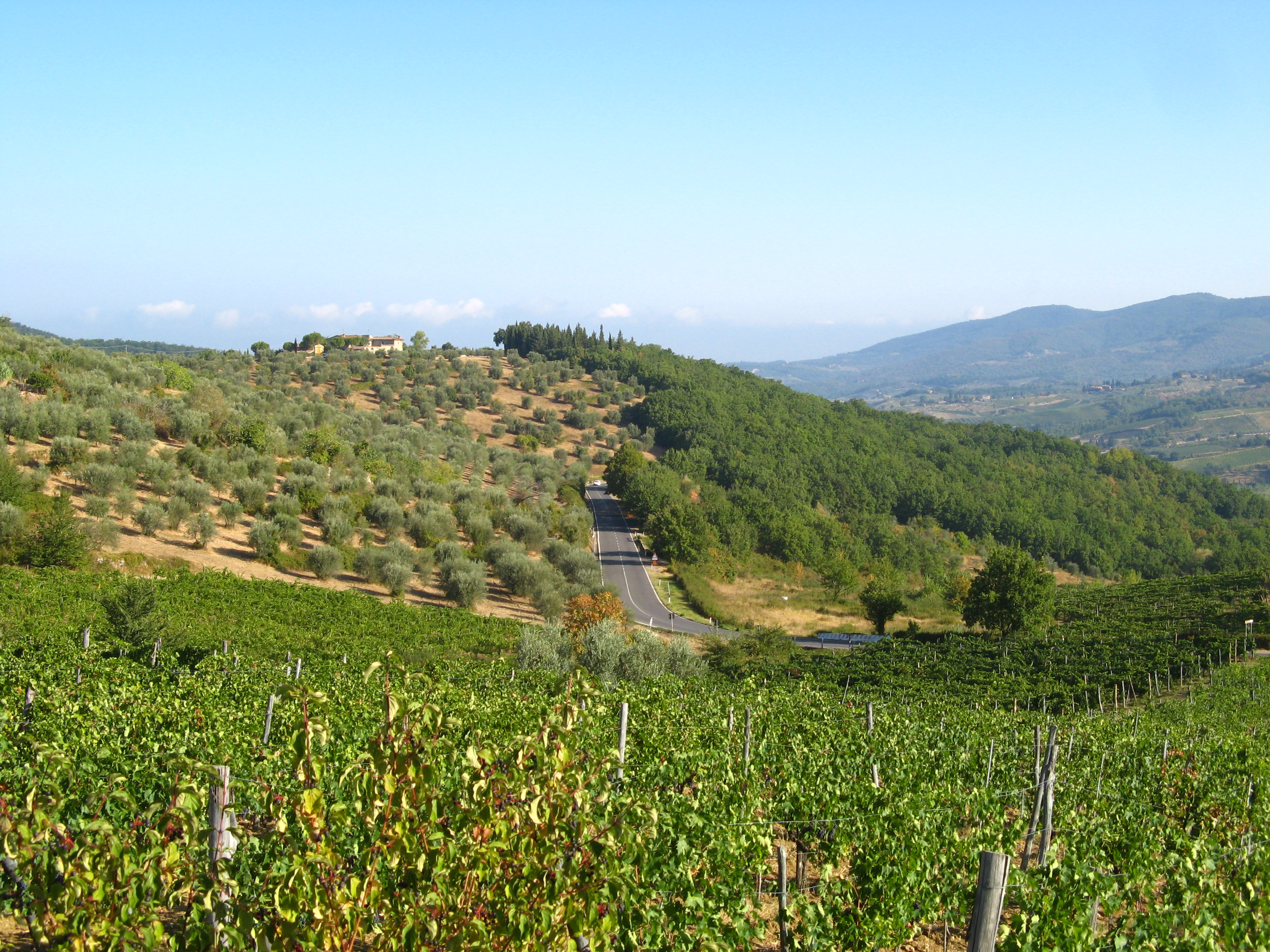 Degustare il vino dei Colli Aretini ad Arezzo e Dintorni