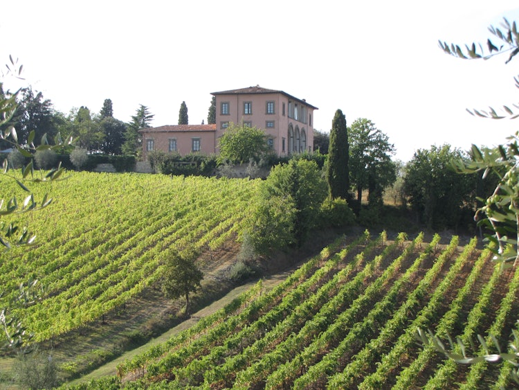 Do it yourself wine tasting in Chianti
