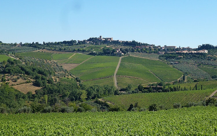 Day trip from San Gimignano to Chianti, an easy day trip