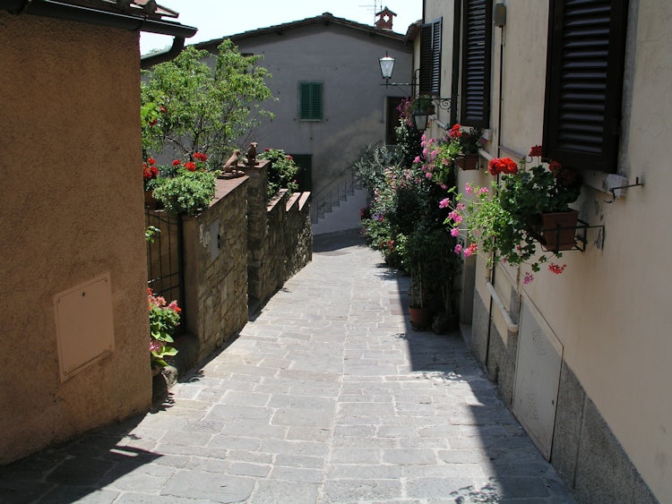 Chianti is a close and panoramic day trip from Siena