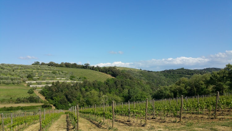 Biking and wine tasting in Chianti is the best way to enjoy the territory