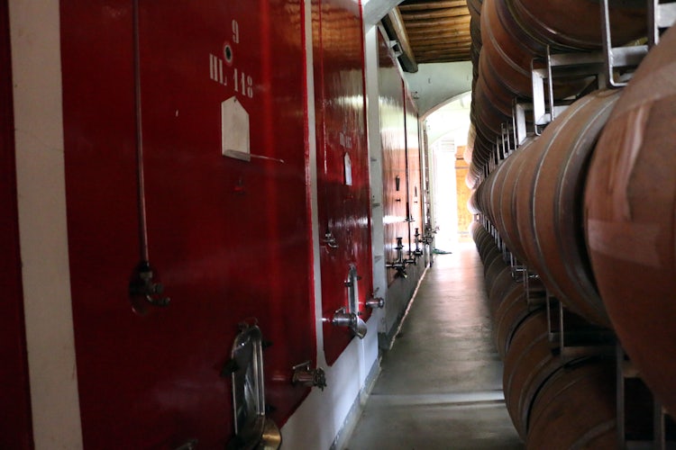 Wine cellar in Greve in Chianti Castello Uzzano