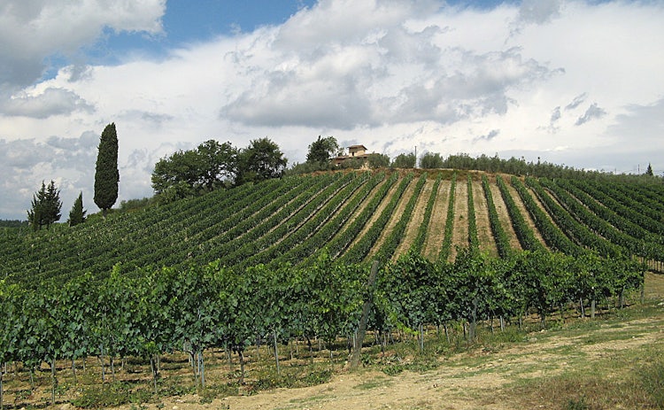 Great scenery and wines in Chianti