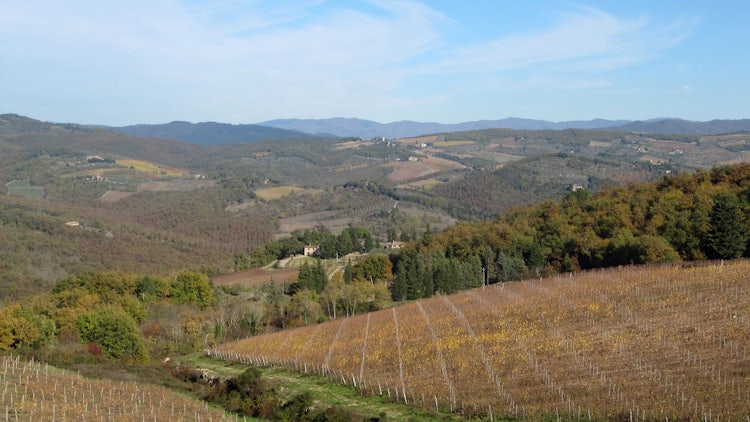 Travelling the Strada del Vino in Chianti Classico