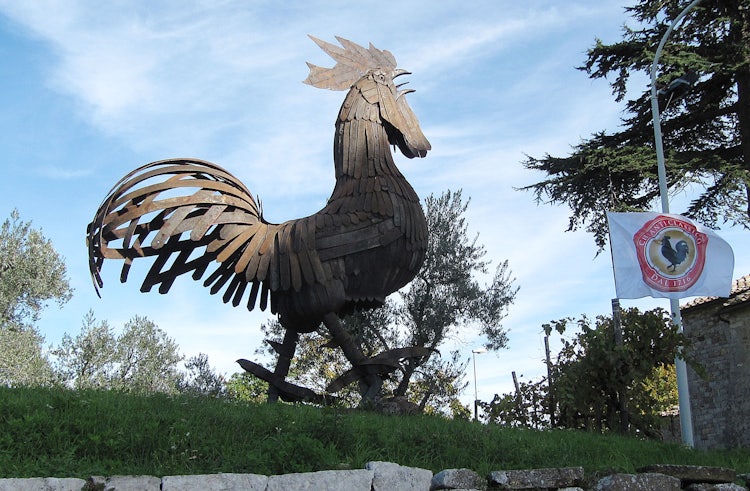 Gallo nero a San Gusme