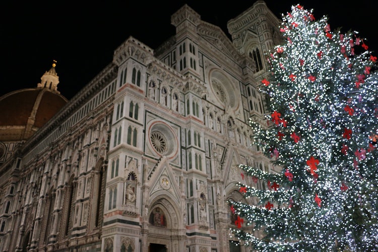 Christmas Tree in Florence Tuscany