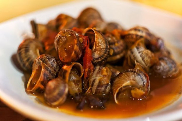 Cooked snails in Tuscany for Christmas