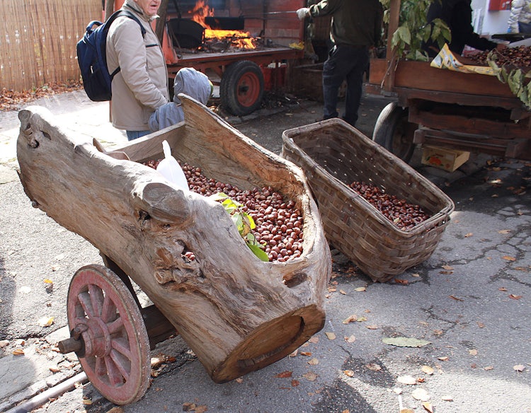 Steam Engine Train in Tuscany at Marradi Chestnut festival