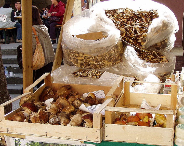 Cinque Fantastiche Idee Per Un Autunno In Toscana