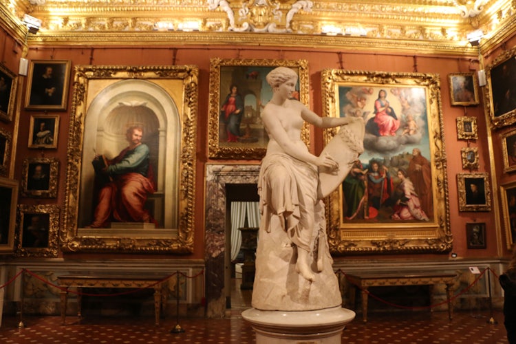 Palazzo Pitti and the Palatina Gallery