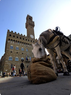 Palazzo Vecchio