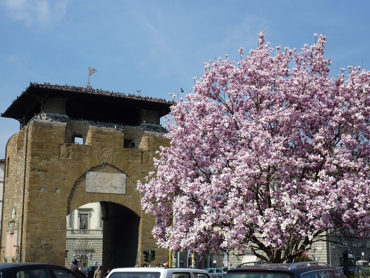 Piazza Beccaria: First signs of Spring