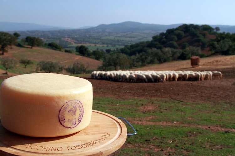 Pecorino Toscano DOP and its official mark