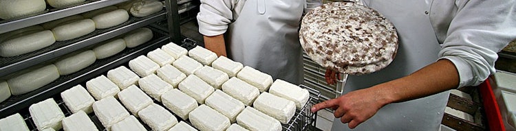 Fresh cheeses from Corzano e Paterno