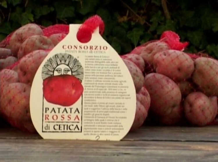 Potatoes in Tuscany: Patata di Cetica, history and recipes