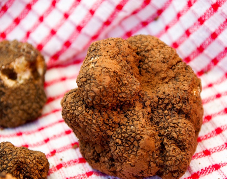 Truffle, exquisite product which unfortunately isn't within everybody's reach!