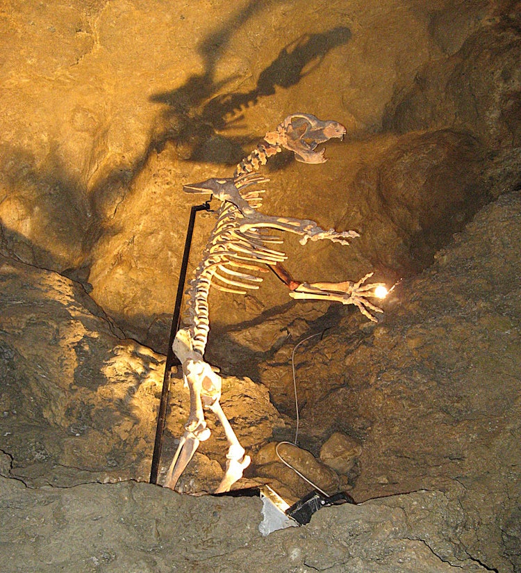 Entrance to the Grotta del Vento