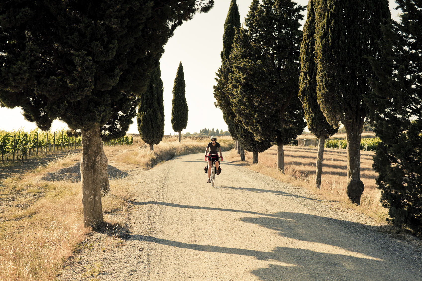 On the tuscan online bike