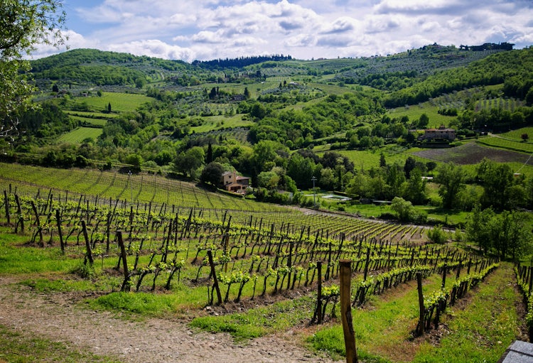 Spring time in Chianti, Tuscany