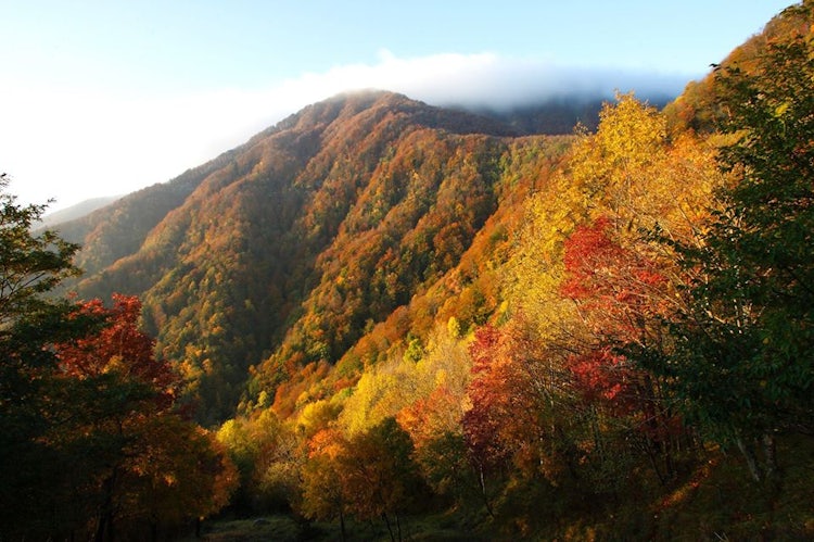 Eventi di novembre in Toscana: autunno in Casentino