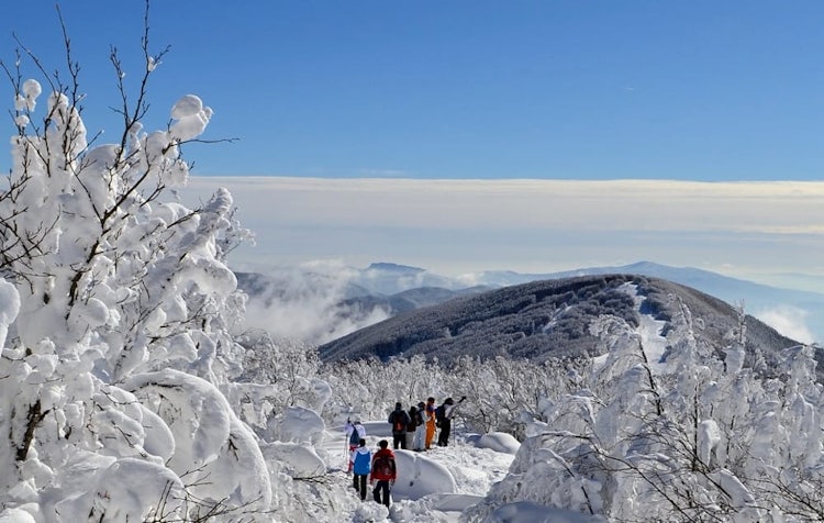 Tuscany Snow near Casentino