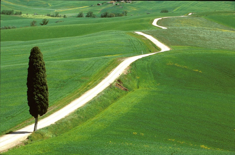 Tuscan White Roads in Val d'Orcia