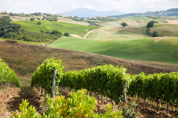 Panoramic views from your Tuscan villa rental