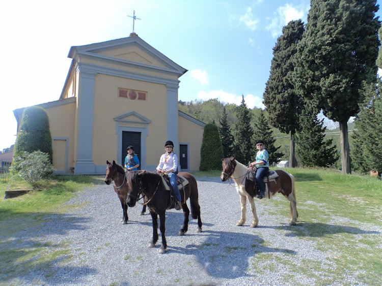 Horseback Riding: DiscoverTuscany team Reviews the Best Tours Departing from Pisa