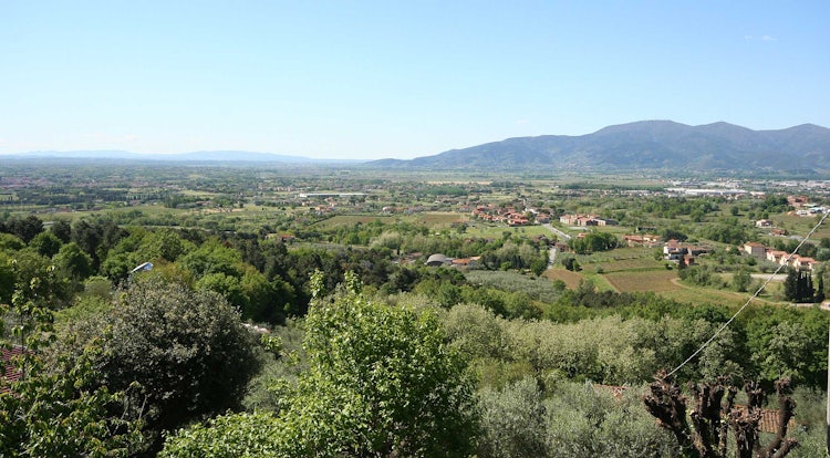 The valley and mountains near Montecarlo and Lucca