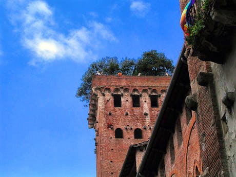 travel to lucca italy