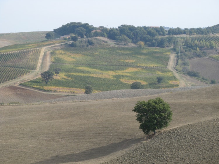 Panorama di Cinigiano nella Toscana