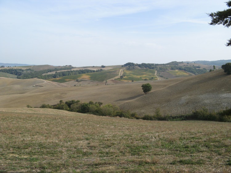 Landscape around Cinigliano