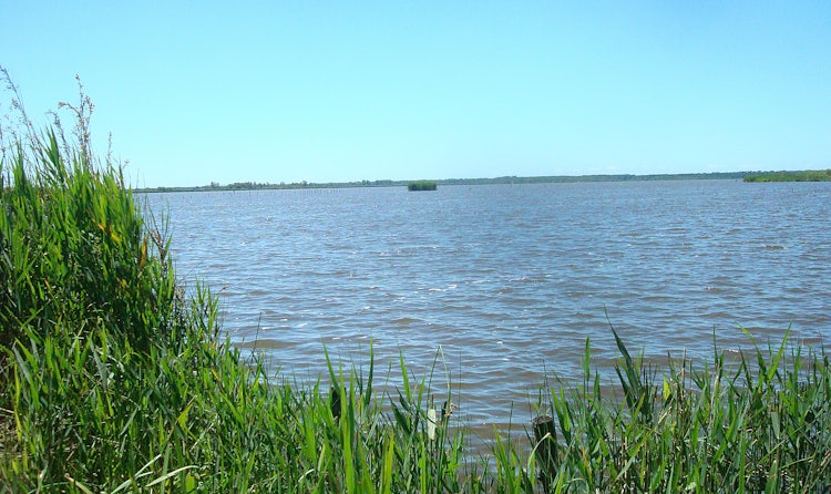 Marches of Massaciuccoli