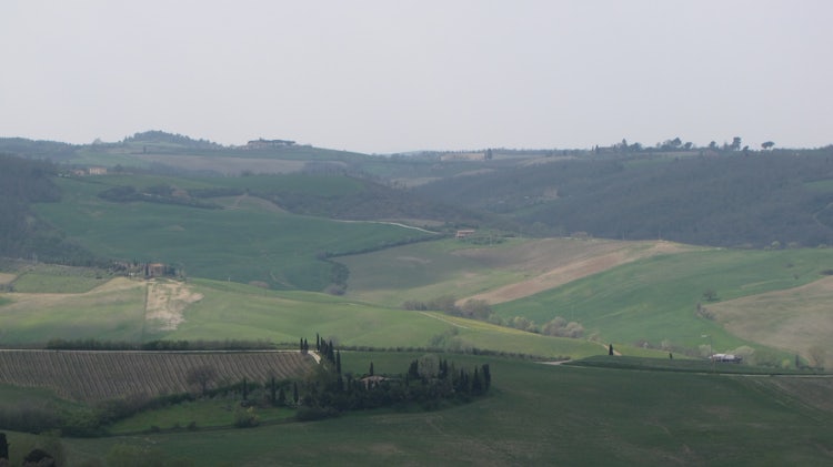 Montepulciano wine tasting