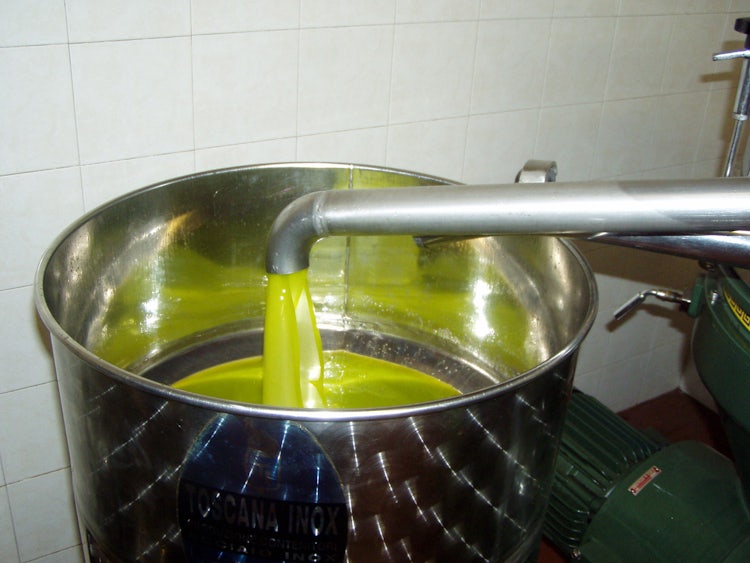 Extra Virgin Olive Oil: New olive oil