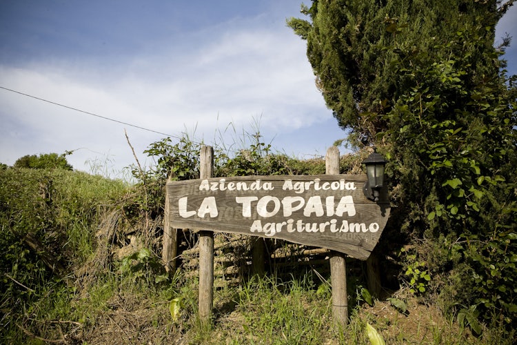 Agriturismo La Topaia in Mugello with swimming pool