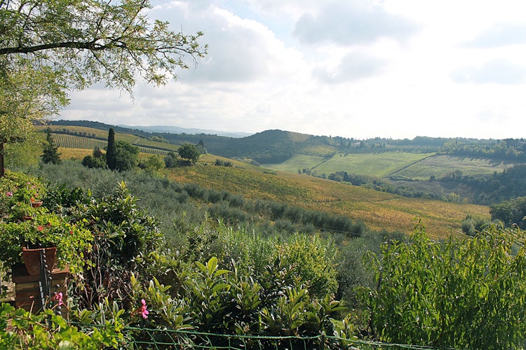 Panoramic view  at Agriturismo Vernainello