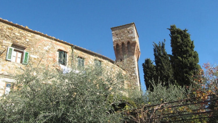 Sunny terrace with lovely views in a small town:  B&B del Giglio