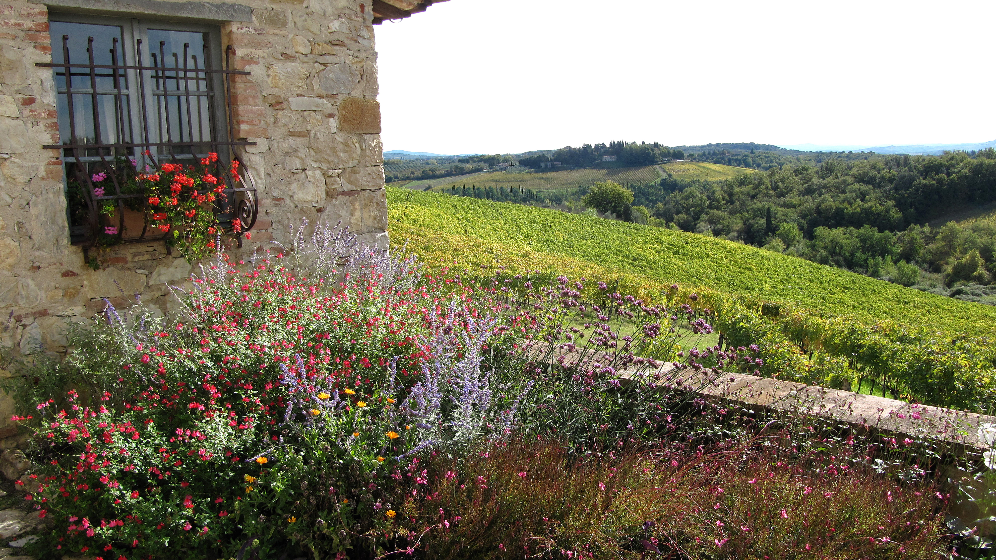 Our Review Of Borgo Argenina: Spectacular Views Of Chianti At Borgo ...