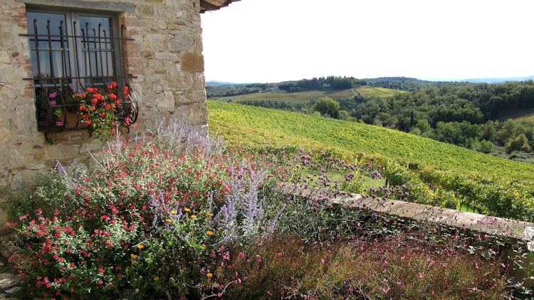 Panoramic view of Chianti from Borgo Argenina