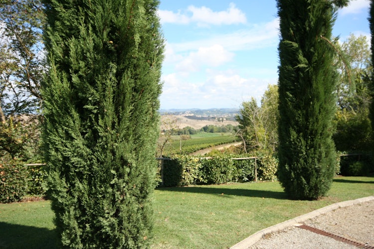 Borgo della Meliana:  Tuscan landscape & vineyards