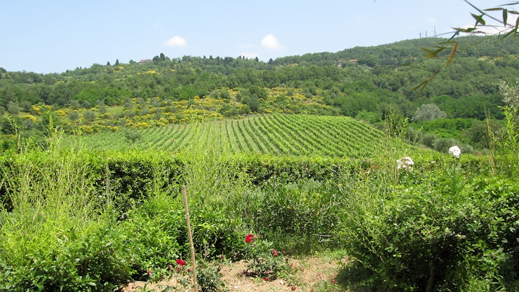 Kid-friendly Accommodations in Florence, Italy :: Double bedroom at Agriturismo Frascole