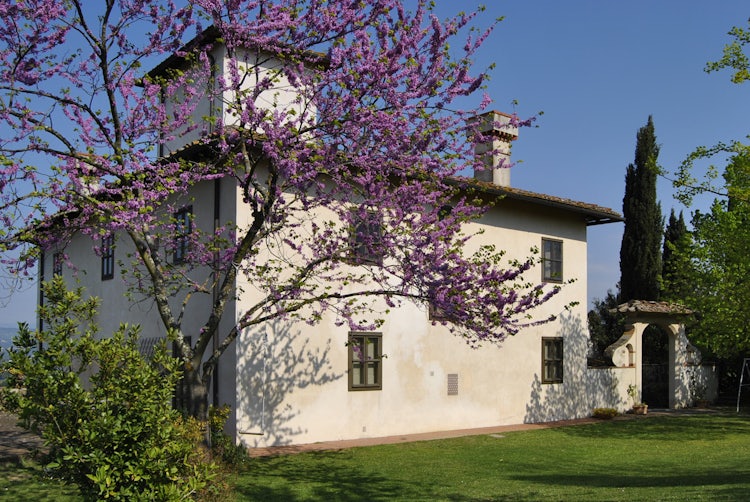 Tuscan vacation villa rental