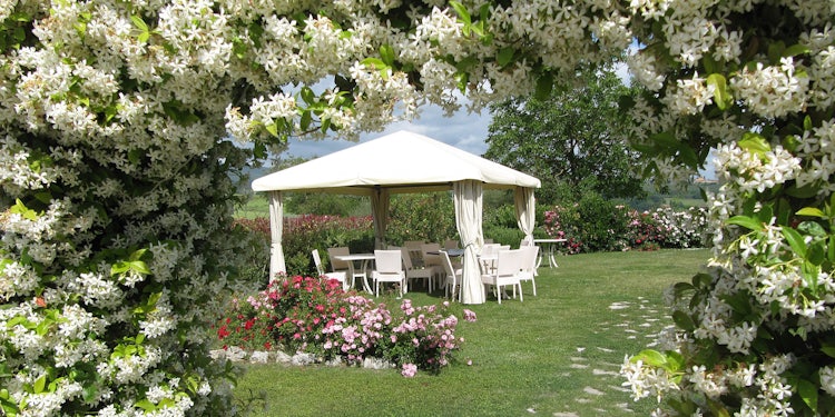 Stupendous garden views towards San Gimignano: Taverna Bibbiano