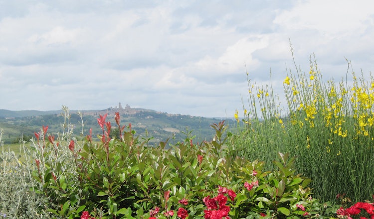 B&B accommodations near San Gimignano: Taverna di Bibbiano